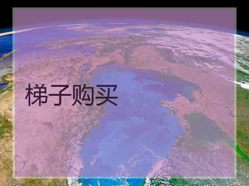 梯子购买