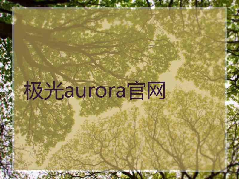 极光aurora官网 极光aurora官网